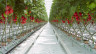 Агротекстиль Agrojutex белый 100г/м2 - 1х100м